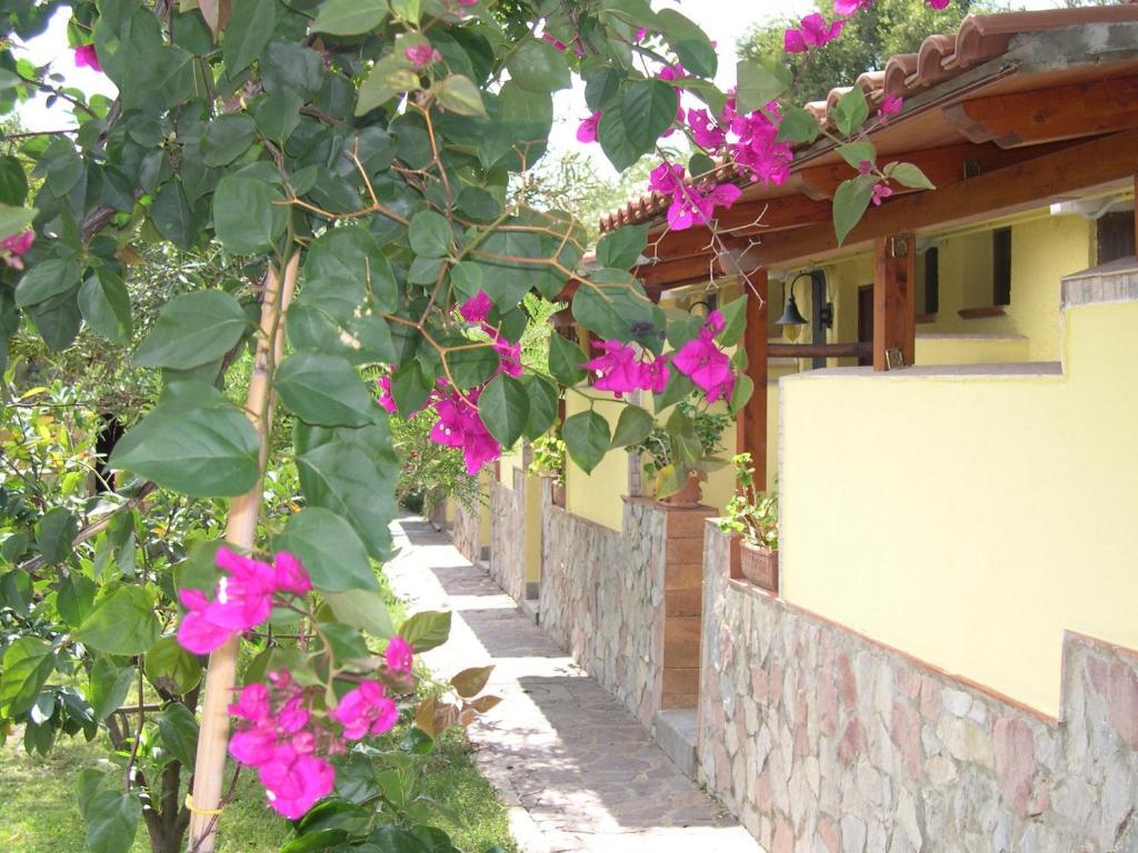 Villaggio Tabu 3* Palinuro